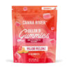 Canna River Delta 9 Gummies | 900mg